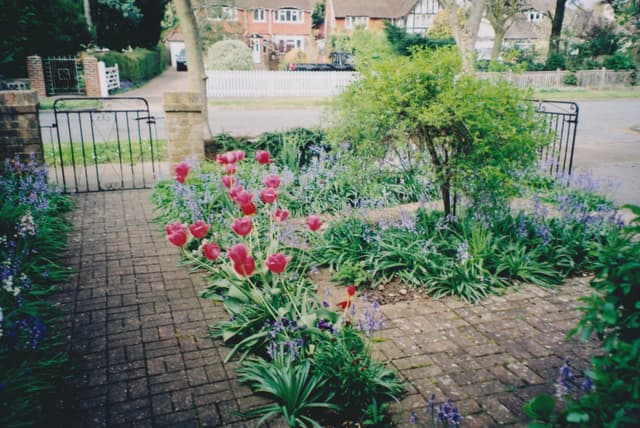 Front Garden (19/04/09)